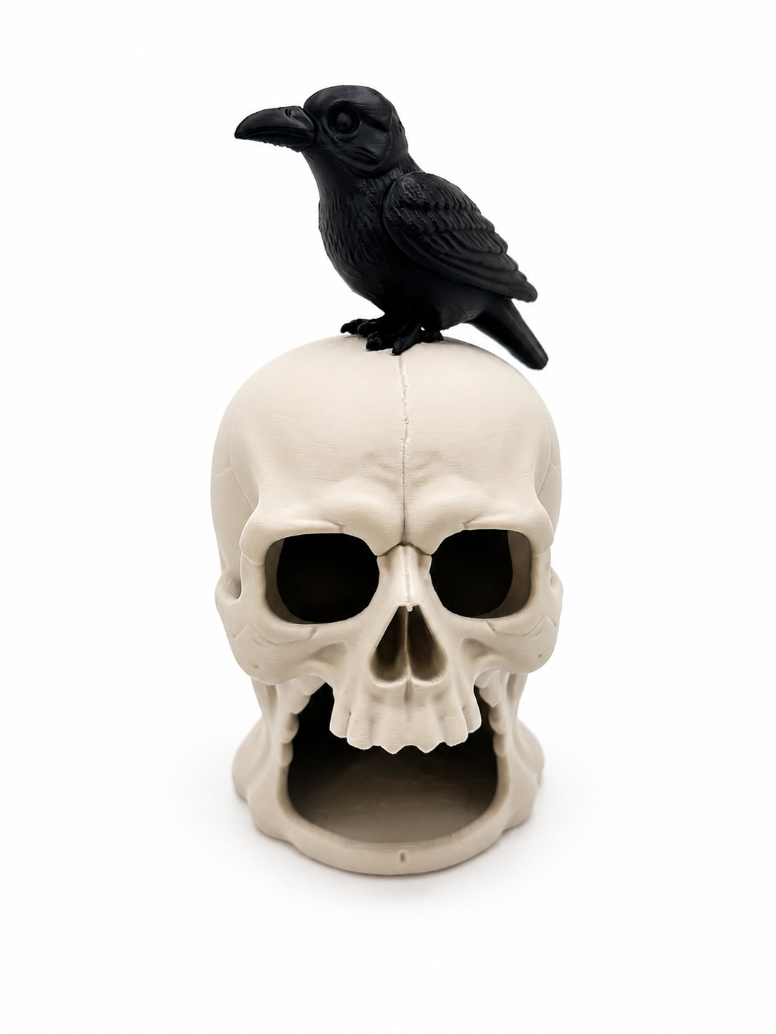 8 inch skull with detachable raven, gothic decor