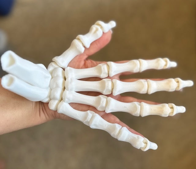 skeleton hands, Articulating Right and Left