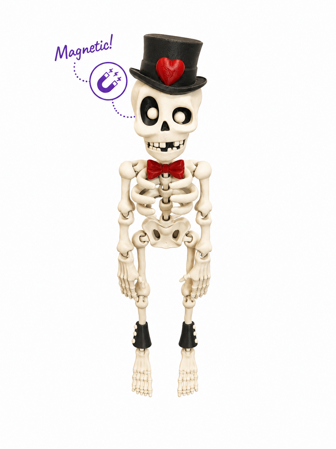 Skelly Bones™ | Magnetic Articulated Skeleton Collectible