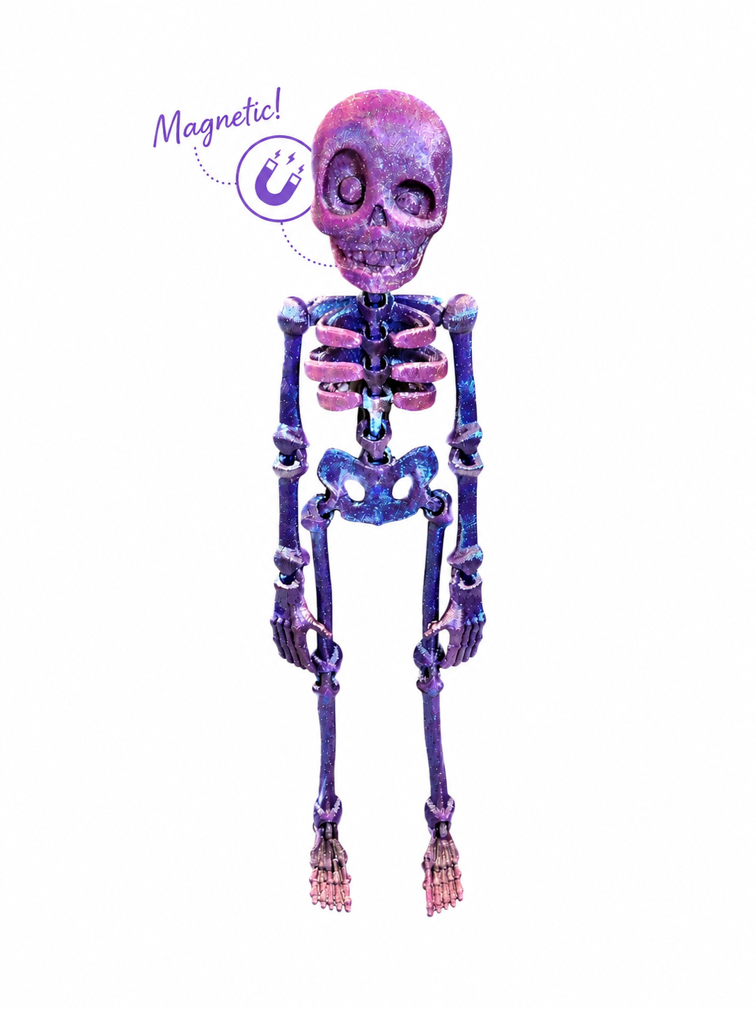 Skelly Bones™ | Magnetic Articulated Skeleton Collectible