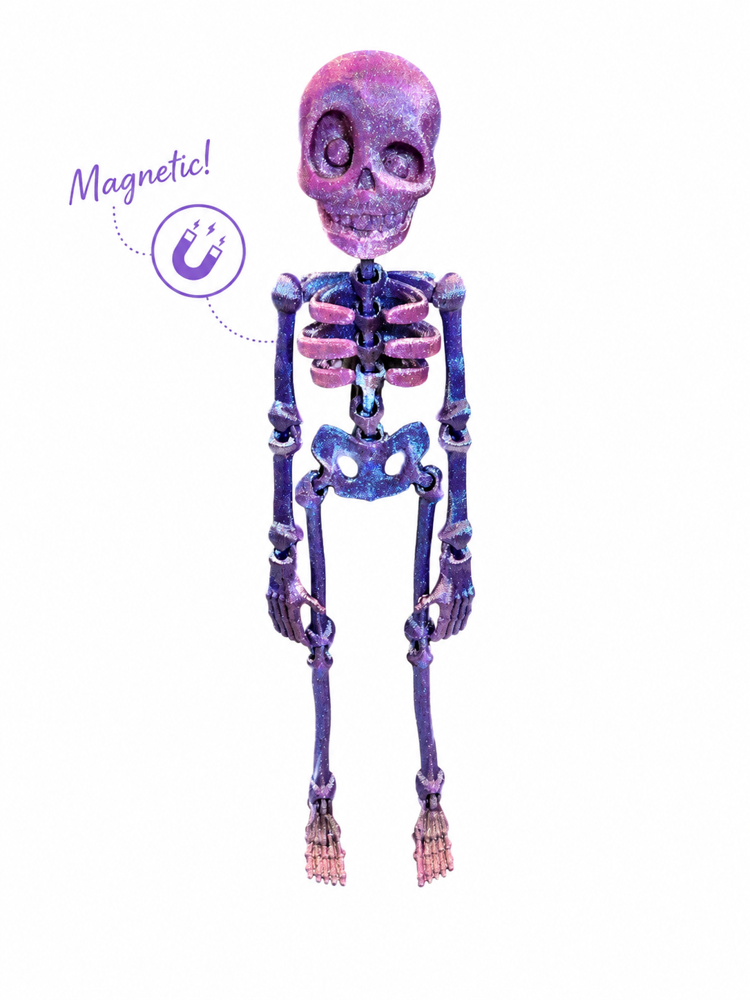 Skelly Bones™ | Magnetic Articulated Skeleton Collectible