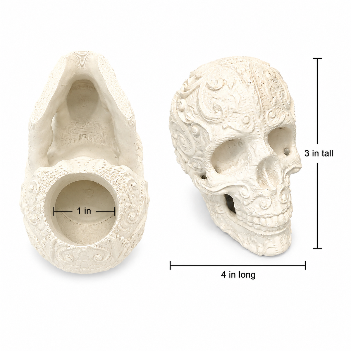 Gothic Skull Decor Collection