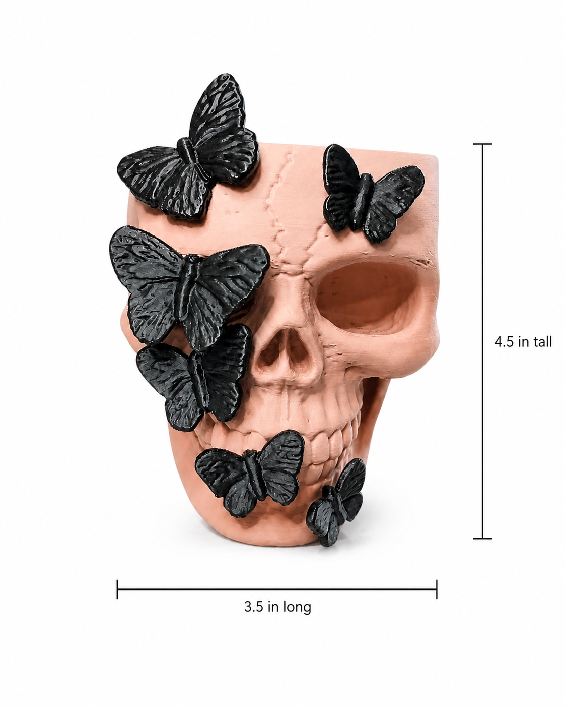 Gothic Skull Decor Collection