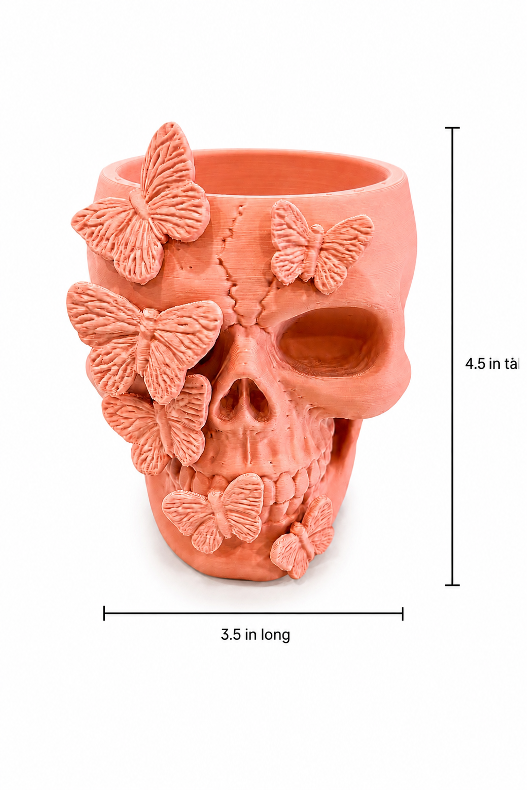 Gothic Skull Decor Collection