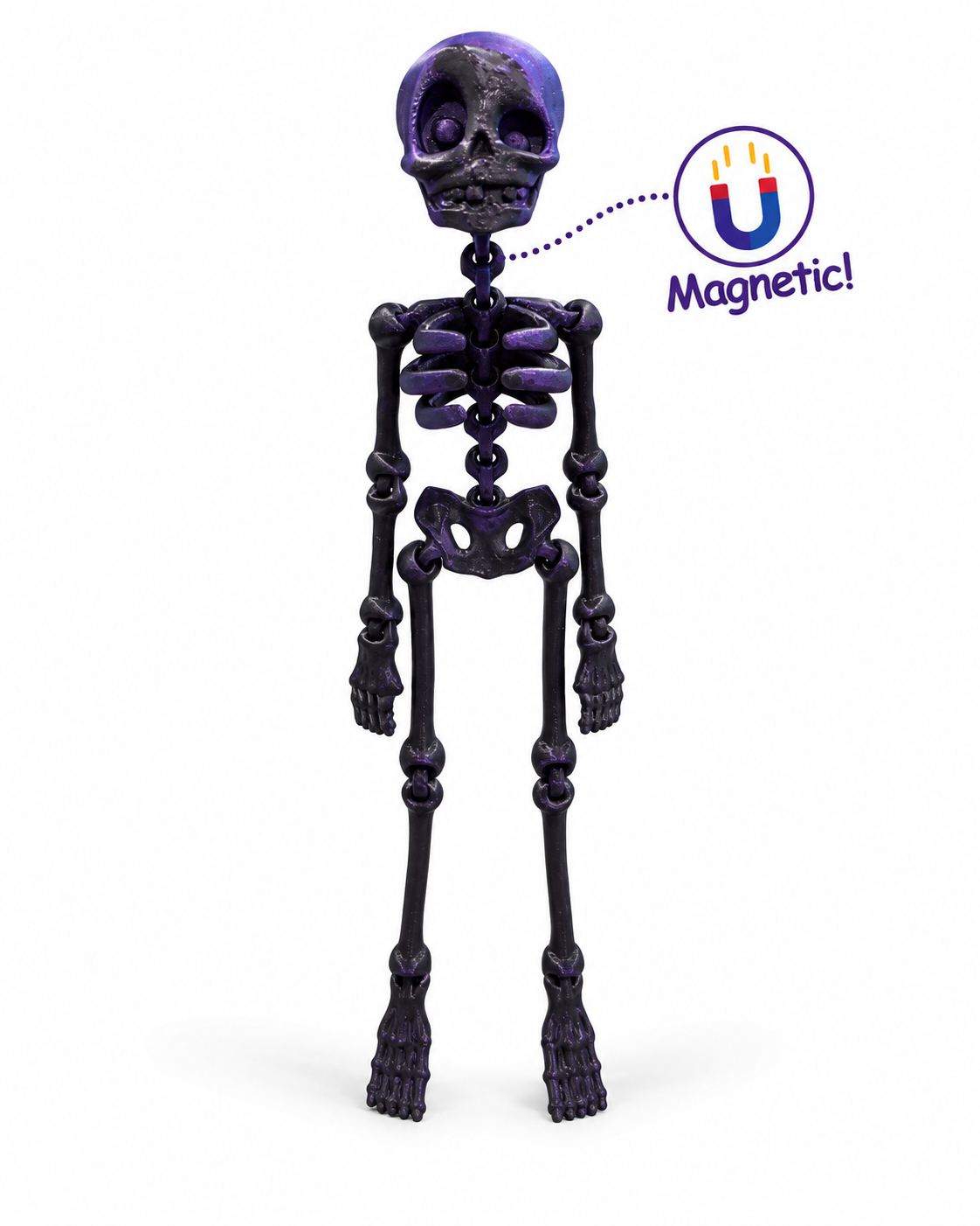 Skelly Bones™ | Magnetic Articulated Skeleton Collectible